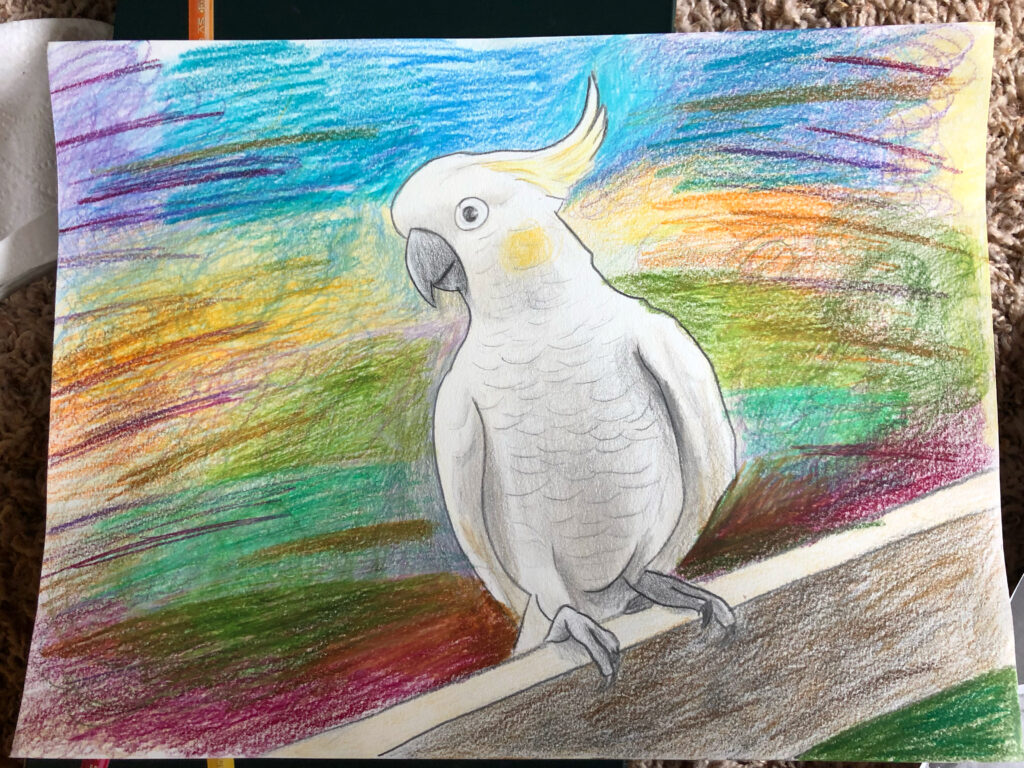 dcf9b2a1 4358 4dd9 aa59 d5477f6fbd14