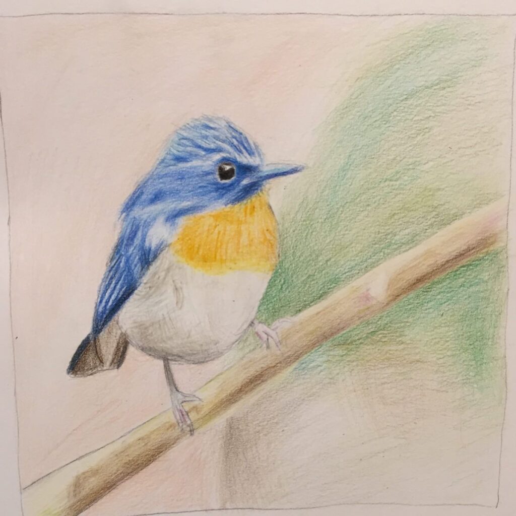 f1ccf354 8d9c 4d0a 8c5f b4bd5beea264